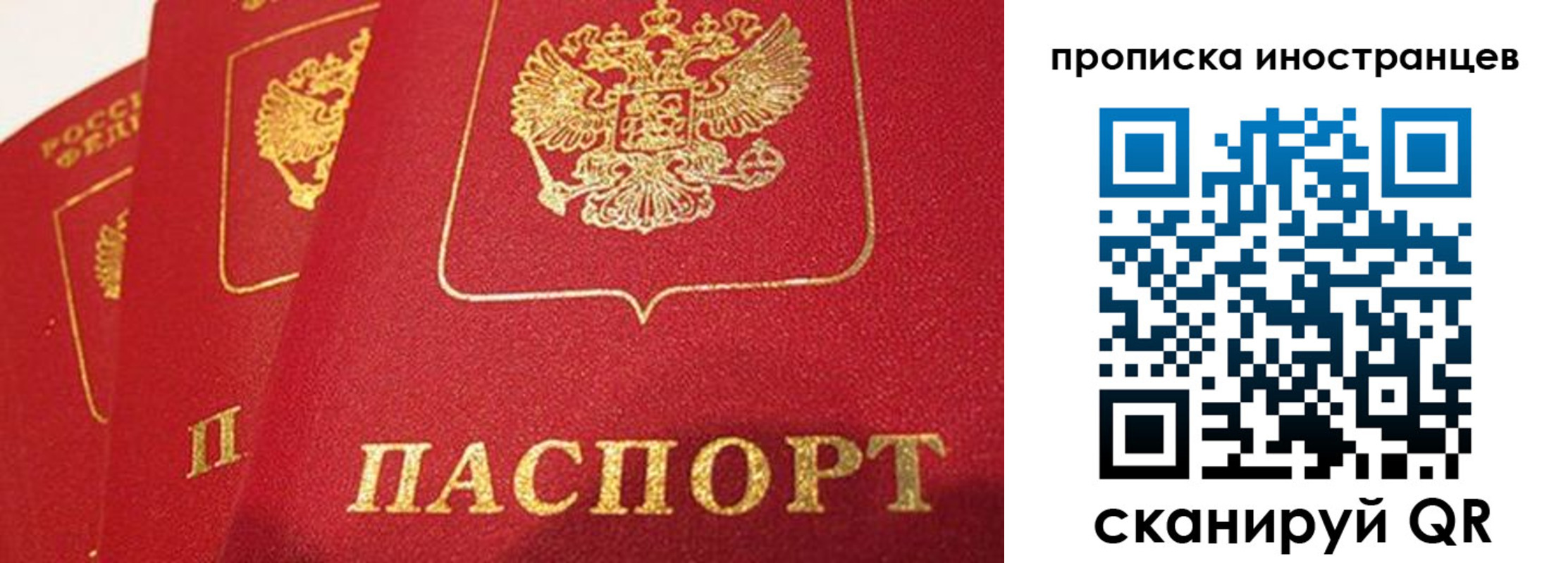 прописка поиск в Сызрани